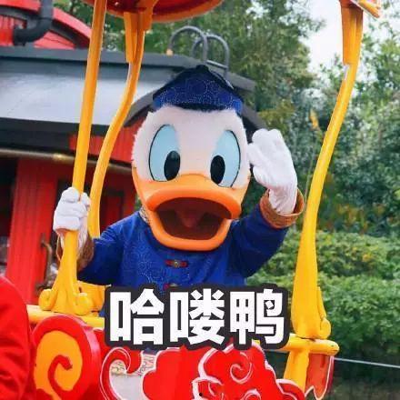 娱乐吃瓜鸭图片,揭秘娱乐圈那些不为人知的幕后故事